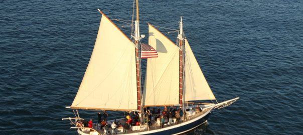 Freda B sailboat cruise on San Francisco Bay
