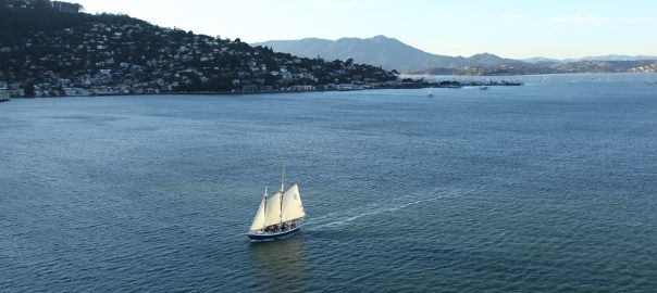 SF Bay Sail and Boat Tour from Sausalito