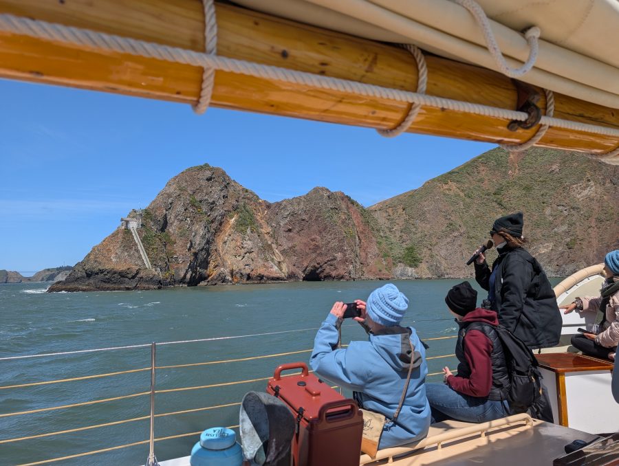 SF Bay Wildlife Sail under Golden Gate Bridge - Schooner Freda B